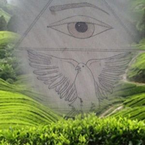 Meet your Posher, Leticia